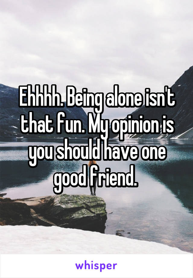 Ehhhh. Being alone isn't that fun. My opinion is you should have one good friend. 