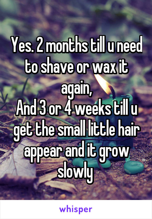 Yes. 2 months till u need to shave or wax it again,
And 3 or 4 weeks till u get the small little hair appear and it grow slowly 