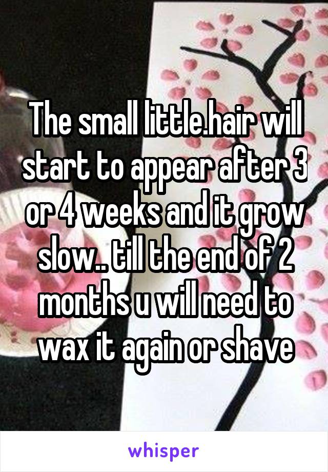 The small little.hair will start to appear after 3 or 4 weeks and it grow slow.. till the end of 2 months u will need to wax it again or shave