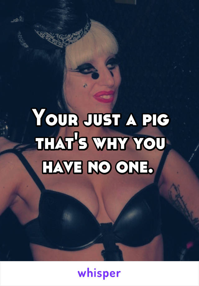 Your just a pig that's why you have no one. 