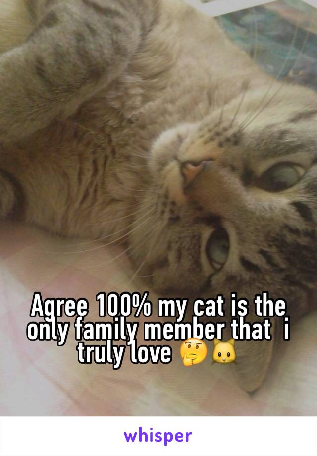 Agree 100% my cat is the only family member that  i truly love 🤔🐱 