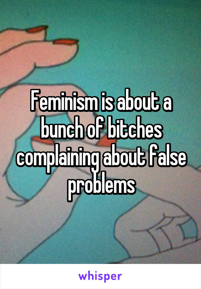 Feminism is about a bunch of bitches complaining about false problems