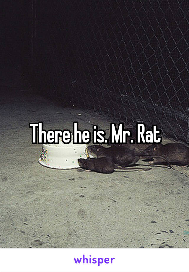 There he is. Mr. Rat