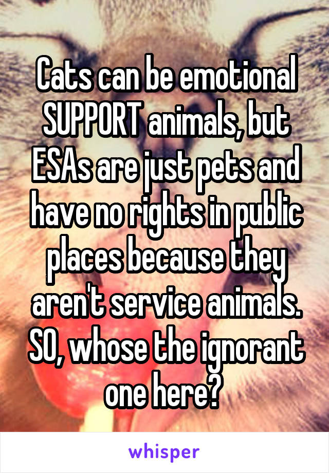 Cats can be emotional SUPPORT animals, but ESAs are just pets and have no rights in public places because they aren't service animals. SO, whose the ignorant one here? 