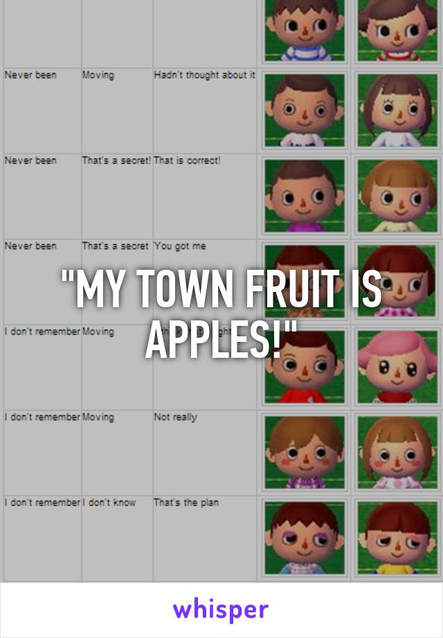 "MY TOWN FRUIT IS APPLES!"