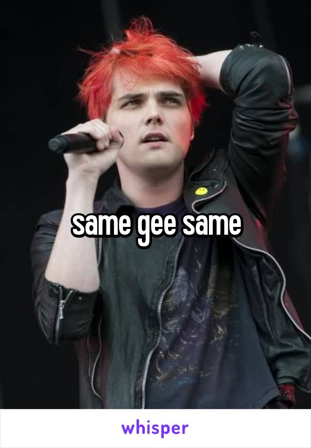 same gee same