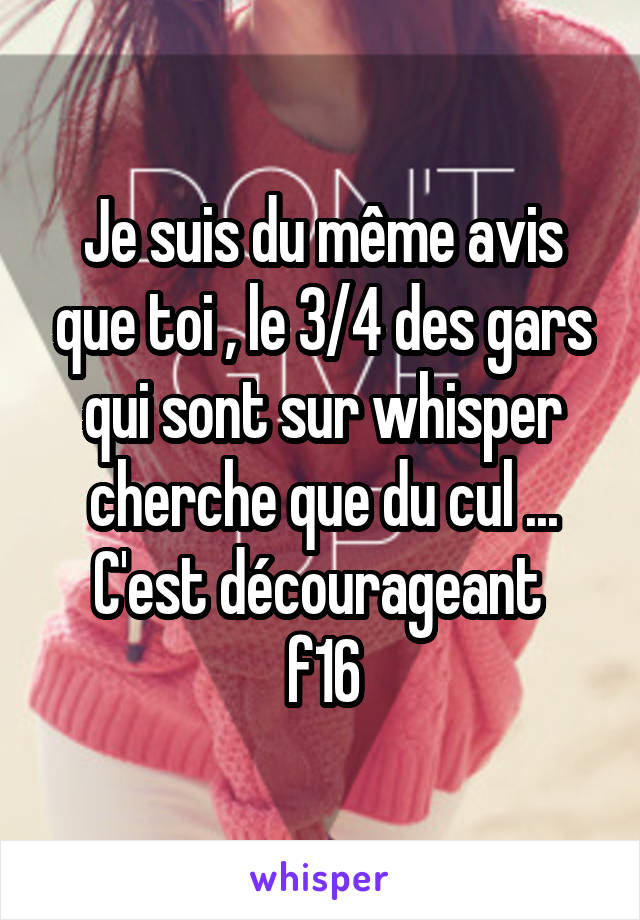 Je suis du même avis que toi , le 3/4 des gars qui sont sur whisper cherche que du cul ... C'est décourageant 
f16