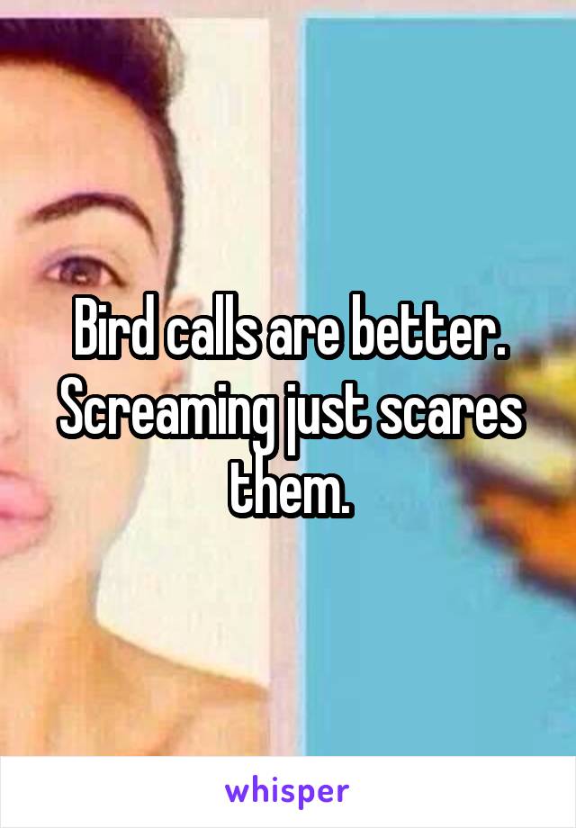 Bird calls are better. Screaming just scares them.