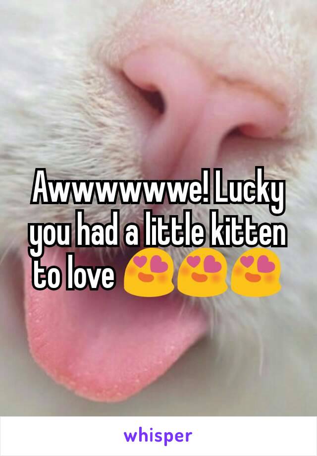 Awwwwwwe! Lucky you had a little kitten to love 😍😍😍