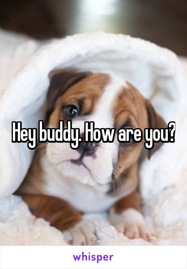 Hey buddy. How are you?