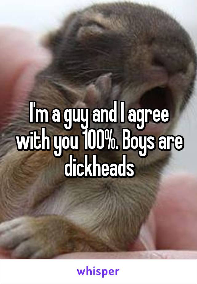 I'm a guy and I agree with you 100%. Boys are dickheads