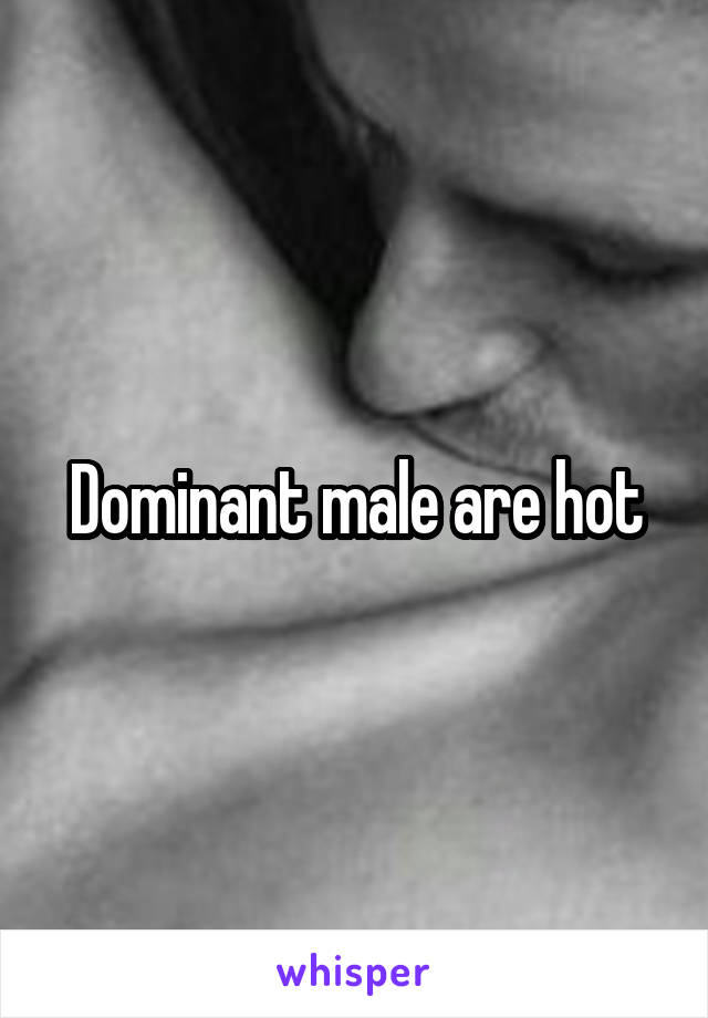 Dominant male are hot