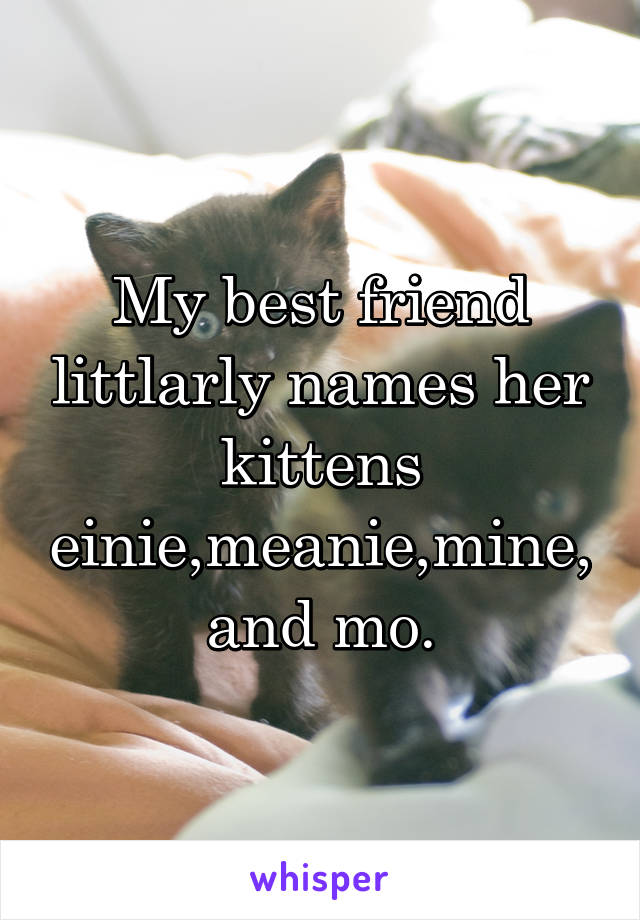 My best friend littlarly names her kittens einie,meanie,mine, and mo.