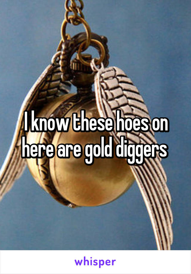 I know these hoes on here are gold diggers 