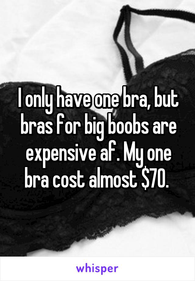 I only have one bra, but bras for big boobs are expensive af. My one bra cost almost $70. 