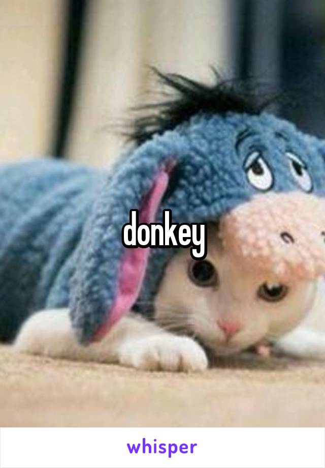 donkey