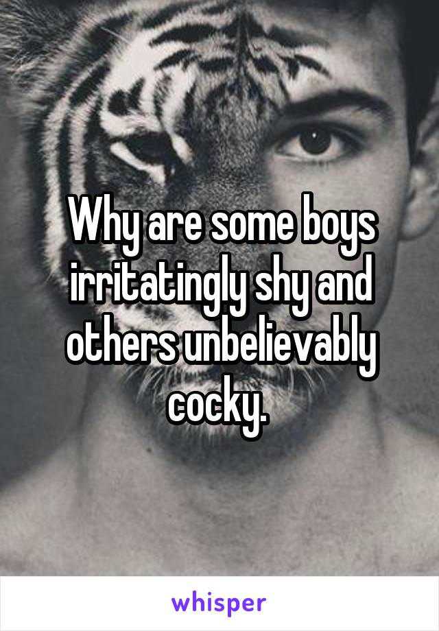 Why are some boys irritatingly shy and others unbelievably cocky. 