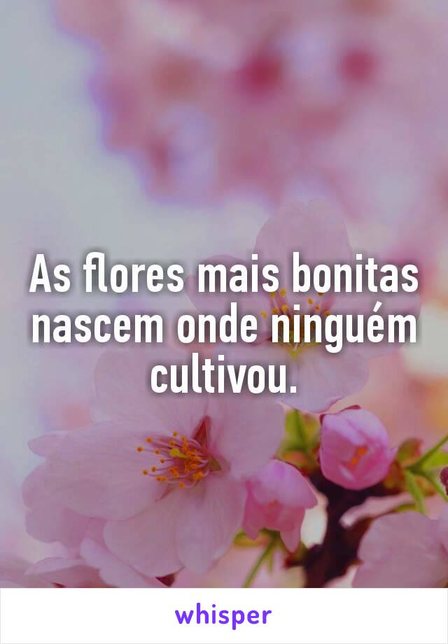 As flores mais bonitas nascem onde ninguém cultivou.