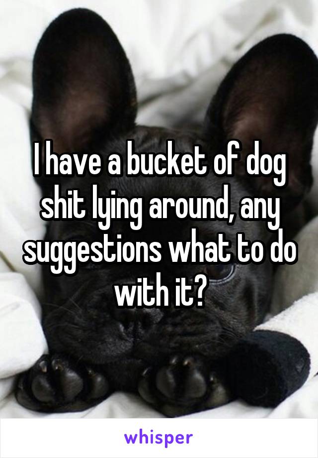 I have a bucket of dog shit lying around, any suggestions what to do with it?