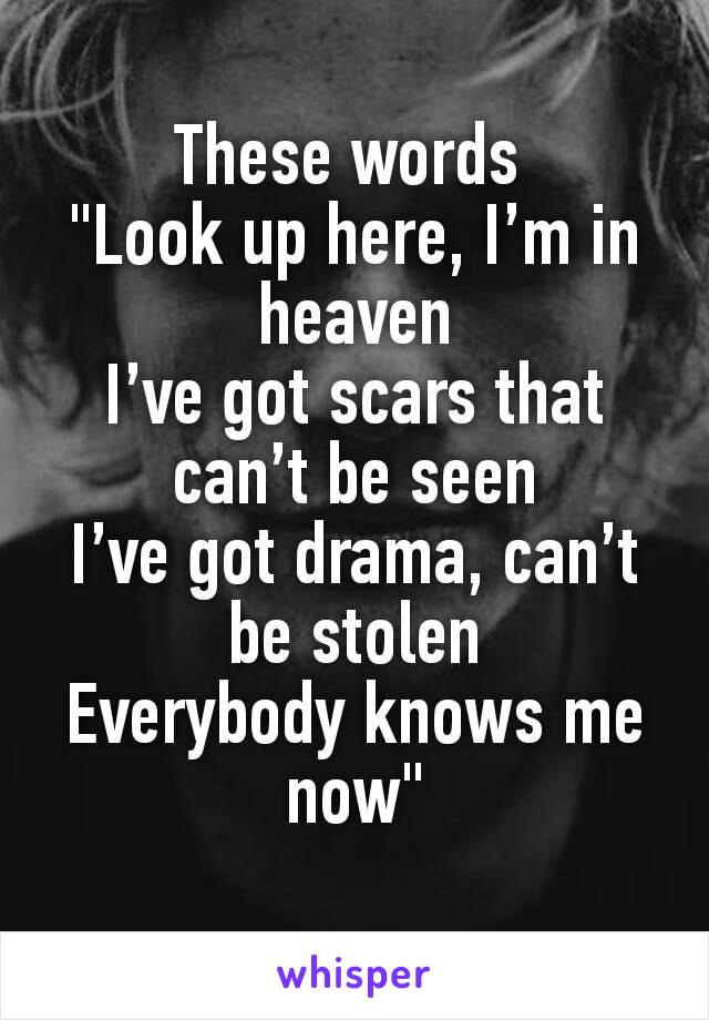 These words 
"Look up here, I’m in heaven
I’ve got scars that can’t be seen
I’ve got drama, can’t be stolen
Everybody knows me now"