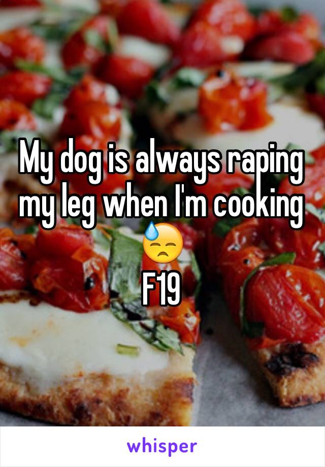 My dog is always raping my leg when I'm cooking 😓 
F19