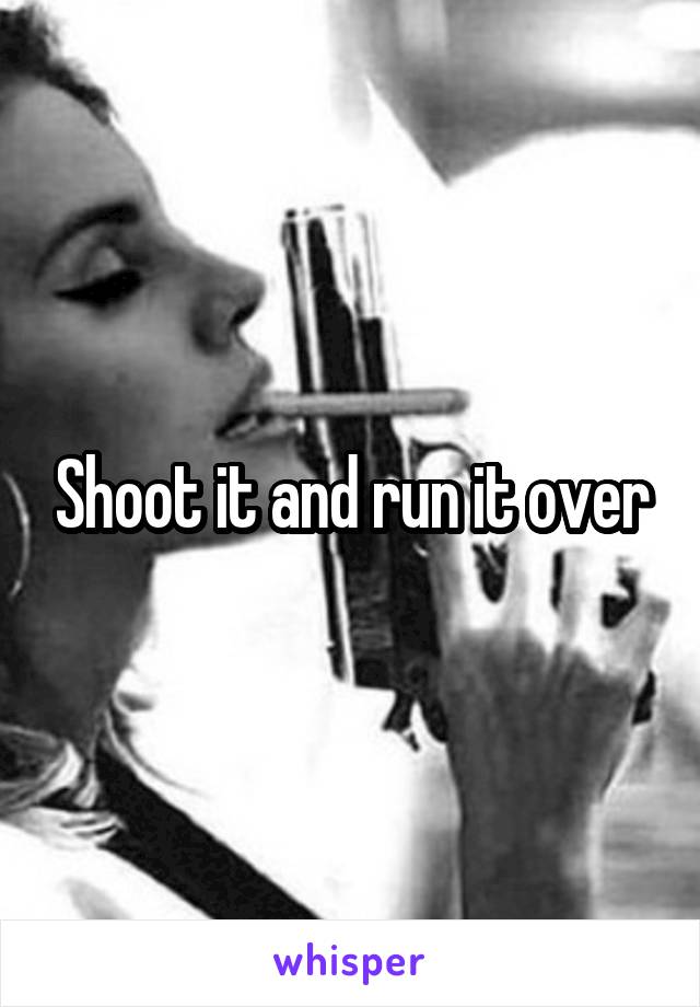 Shoot it and run it over