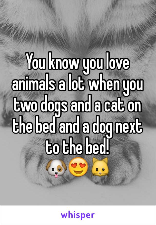 You know you love animals a lot when you two dogs and a cat on the bed and a dog next to the bed! 
🐶😍🐱