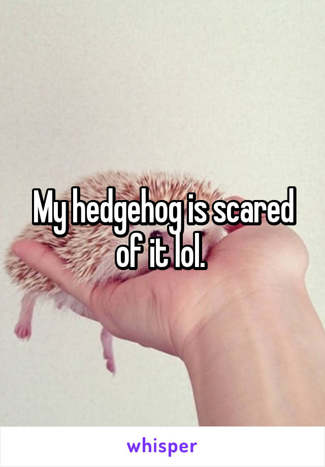 My hedgehog is scared of it lol. 