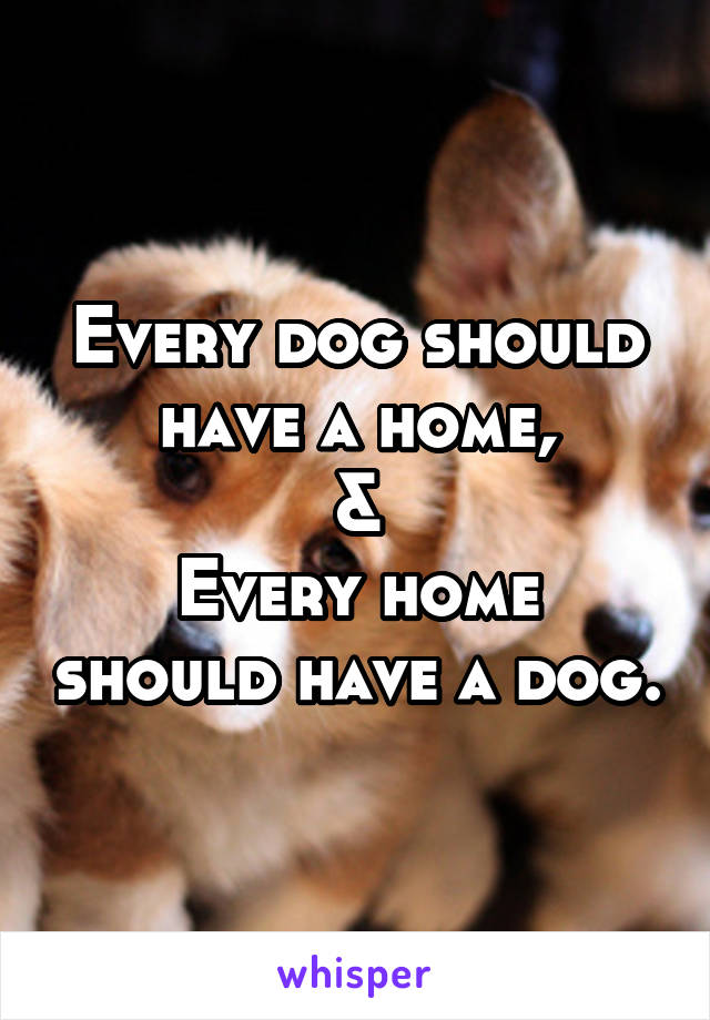 Every dog should have a home,
&
Every home should have a dog.