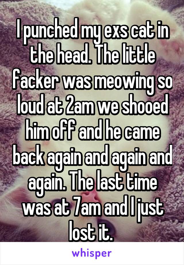 I punched my exs cat in the head. The little facker was meowing so loud at 2am we shooed him off and he came back again and again and again. The last time was at 7am and I just lost it. 