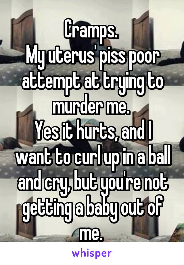 Cramps. 
My uterus' piss poor attempt at trying to murder me. 
Yes it hurts, and I want to curl up in a ball and cry, but you're not getting a baby out of me. 