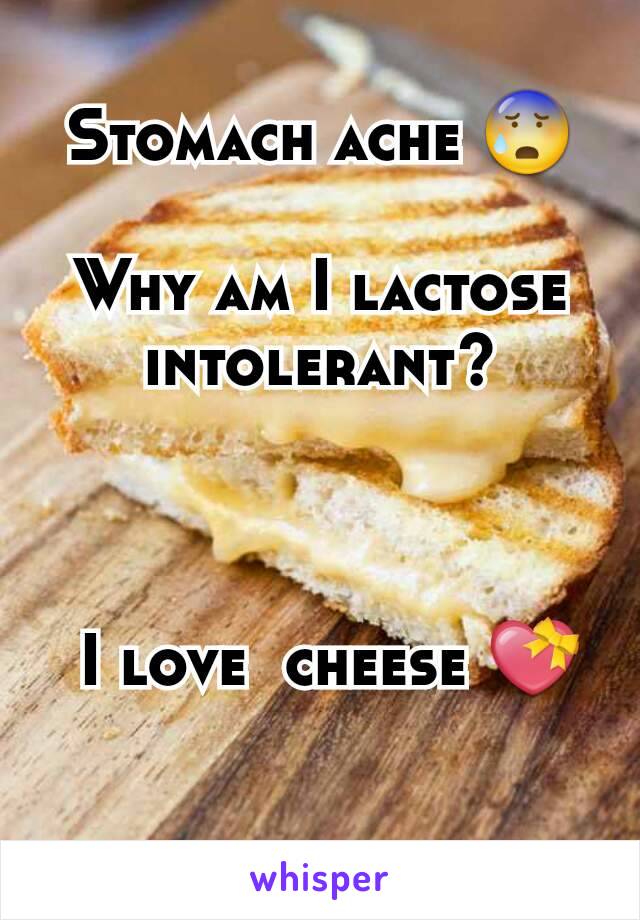 Stomach ache 😰

Why am I lactose intolerant?



 I love  cheese 💝