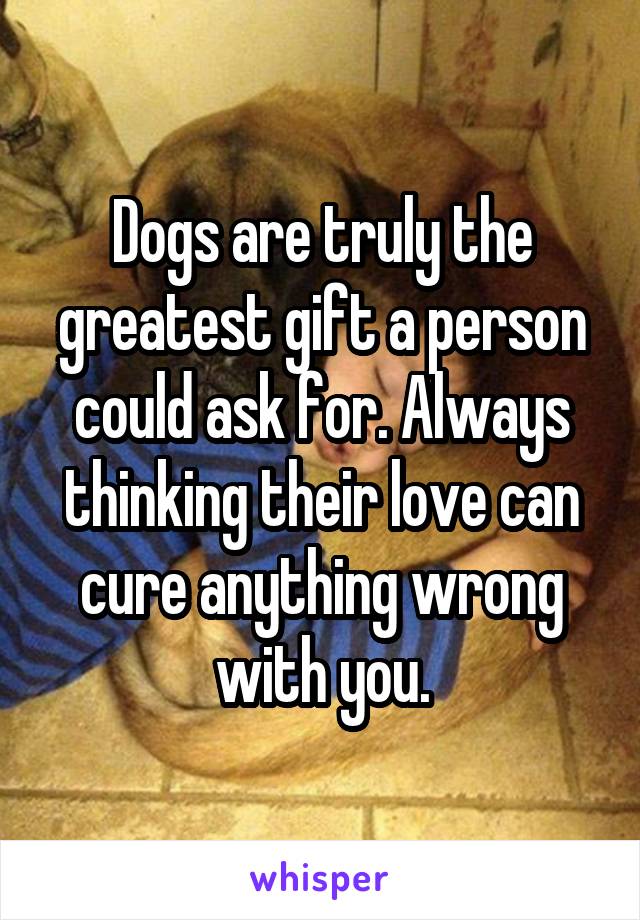 Dogs are truly the greatest gift a person could ask for. Always thinking their love can cure anything wrong with you.