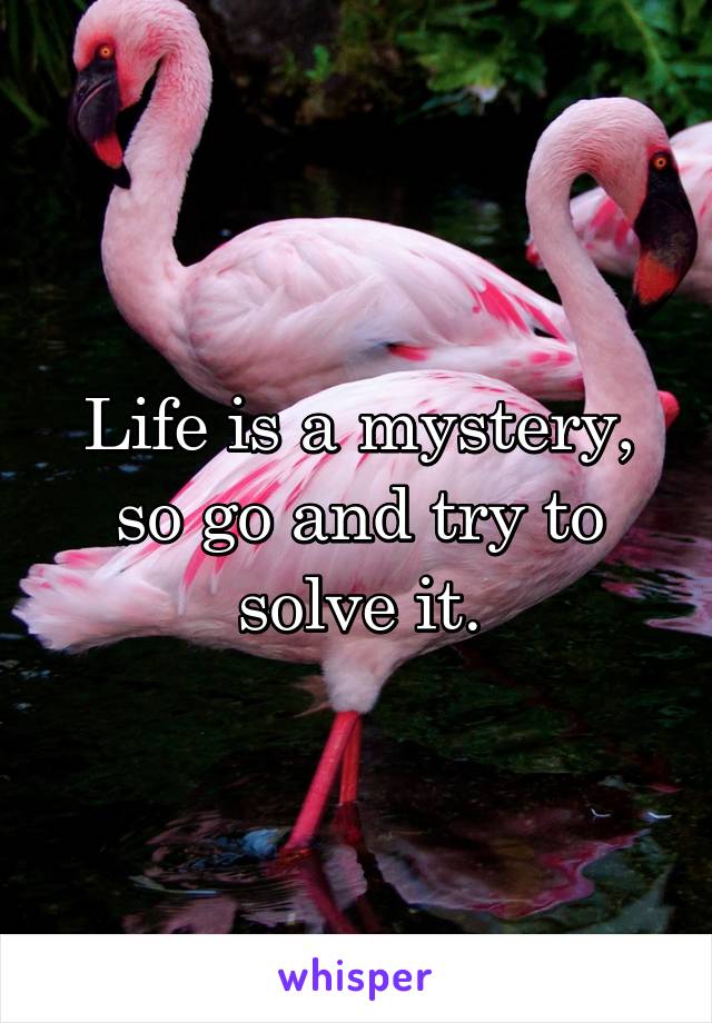 Life is a mystery, so go and try to solve it.