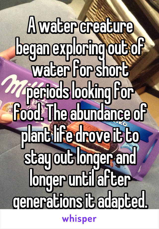 A water creature began exploring out of water for short periods looking for food. The abundance of plant life drove it to stay out longer and longer until after generations it adapted.