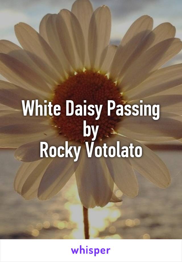 White Daisy Passing
by
Rocky Votolato