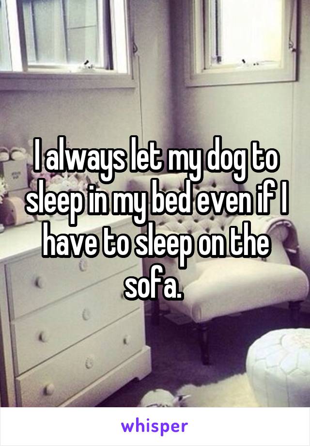 I always let my dog to sleep in my bed even if I have to sleep on the sofa. 