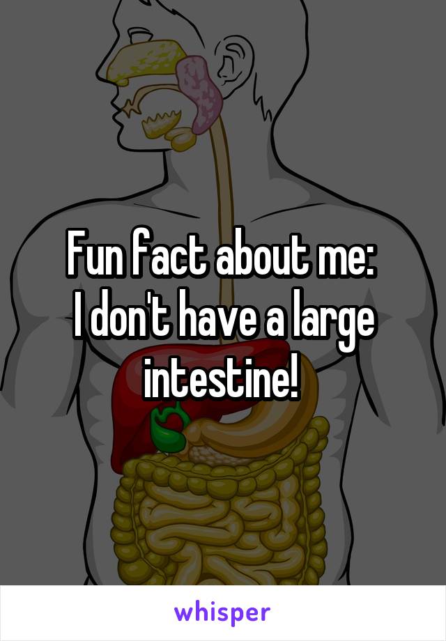 Fun fact about me: 
I don't have a large intestine! 