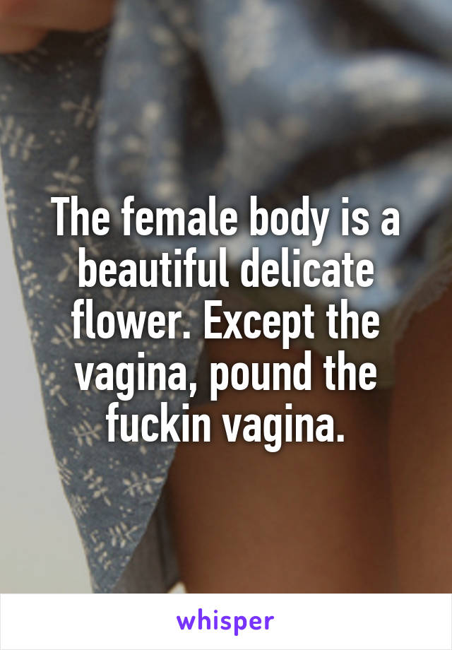 The female body is a beautiful delicate flower. Except the vagina, pound the fuckin vagina.