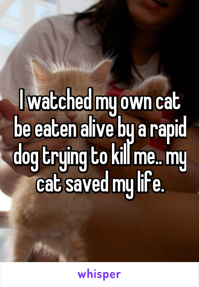 I watched my own cat be eaten alive by a rapid dog trying to kill me.. my cat saved my life.