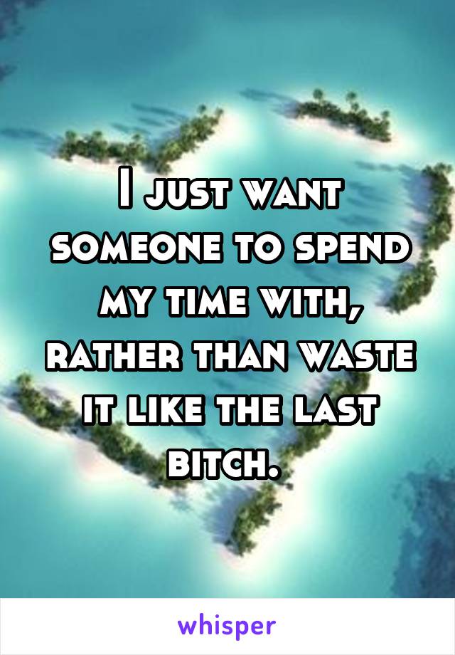 I just want someone to spend my time with, rather than waste it like the last bitch. 