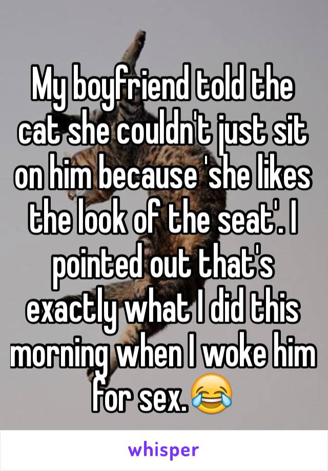 My boyfriend told the cat she couldn't just sit on him because 'she likes the look of the seat'. I pointed out that's exactly what I did this morning when I woke him for sex.😂