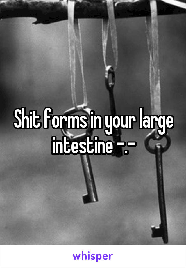 Shit forms in your large intestine -.-