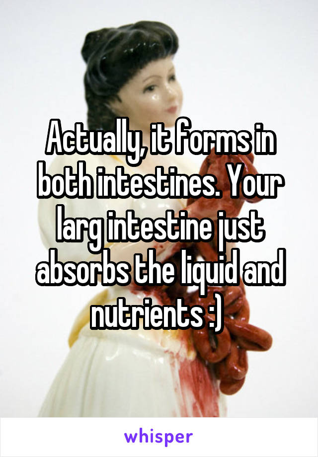 Actually, it forms in both intestines. Your larg intestine just absorbs the liquid and nutrients :) 