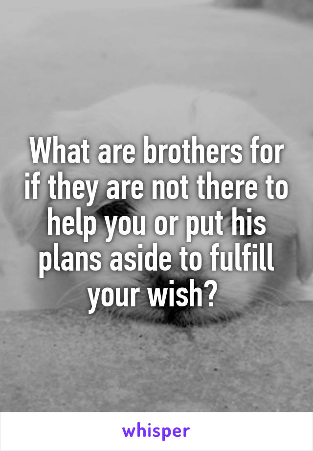 What are brothers for if they are not there to help you or put his plans aside to fulfill your wish? 