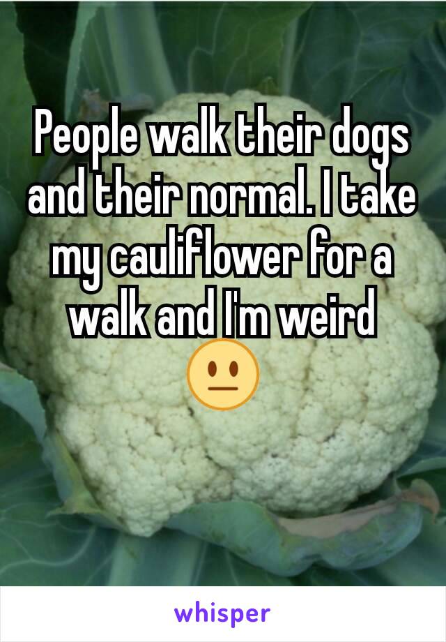 People walk their dogs and their normal. I take my cauliflower for a walk and I'm weird 😐