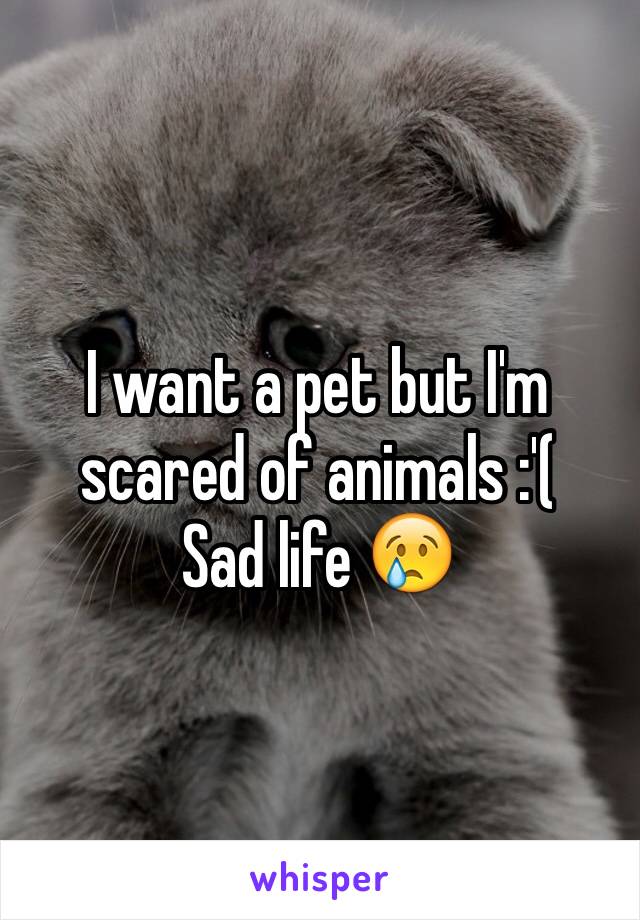 I want a pet but I'm scared of animals :'( 
Sad life 😢