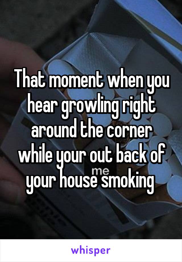 That moment when you hear growling right around the corner while your out back of your house smoking 