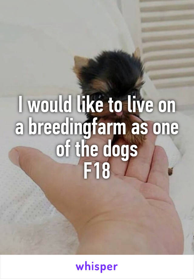 I would like to live on a breedingfarm as one of the dogs
F18