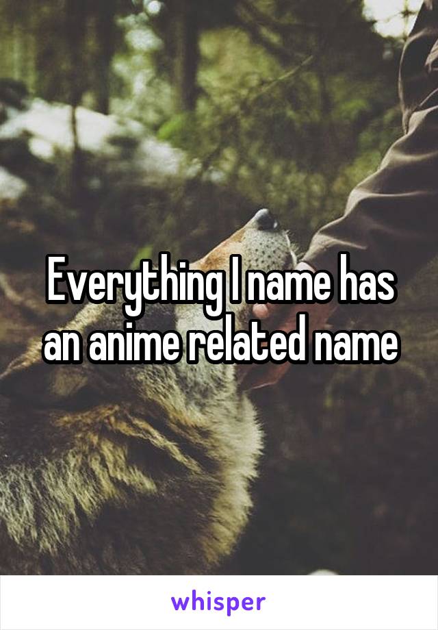 Everything I name has an anime related name